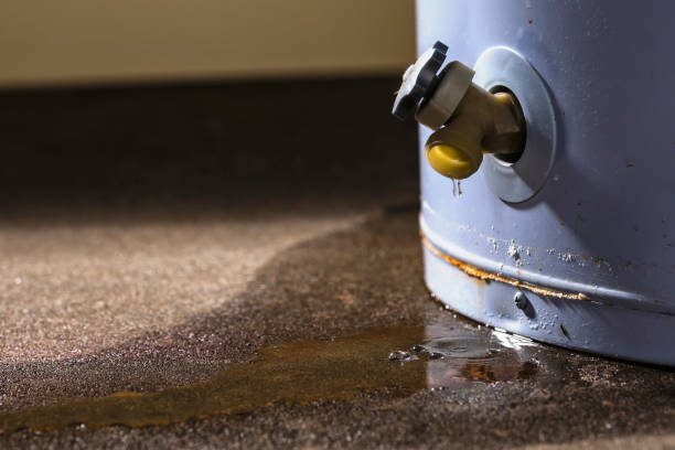 Best Sewage cleanup and water damage restoration  in Ller, WA