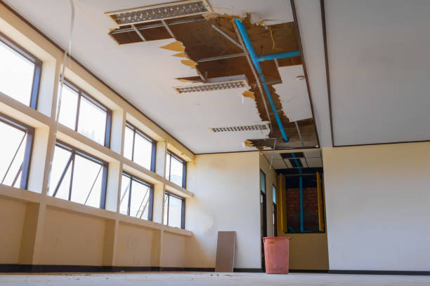 Best Professional water damage repair  in Ller, WA