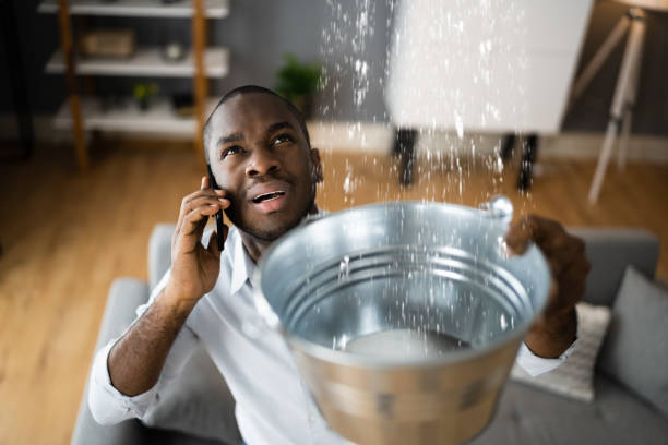 Best Local water damage restoration  in Ller, WA