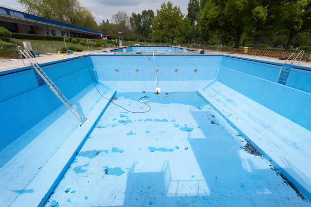 Best Mold removal after water damage  in Ller, WA