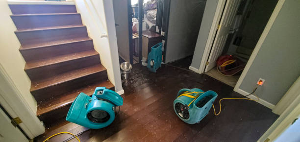 Water damage restoration experts in WA