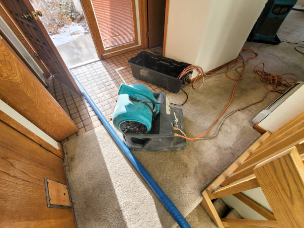 Best Flood damage cleanup  in Ller, WA