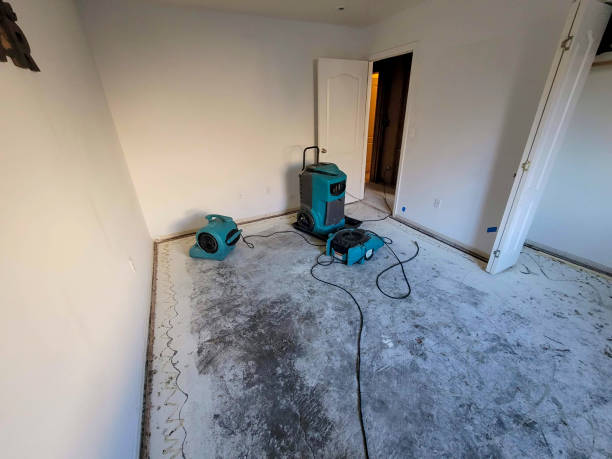Best Mold removal after water damage  in Ller, WA