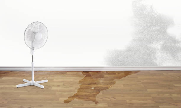 Best Commercial water damage restoration  in Ller, WA