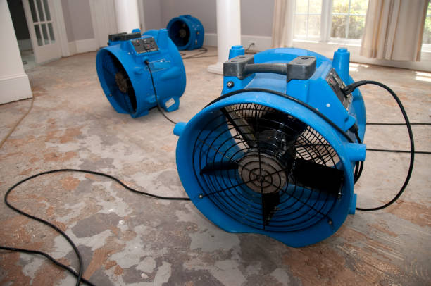 Best 24-hour water damage restoration  in Ller, WA