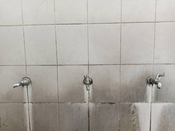 Best 24/7 water damage repair  in Ller, WA