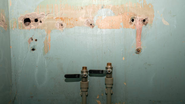 Best Flooded house restoration  in Ller, WA