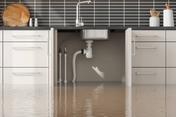 Best Mold removal after water damage  in Ller, WA