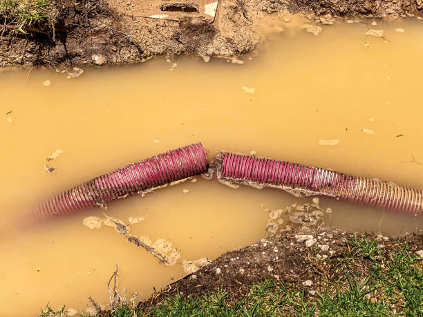 Best 24-hour water damage restoration  in Ller, WA