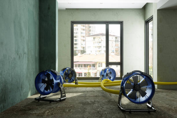  Ller, WA Water damage restoration Pros
